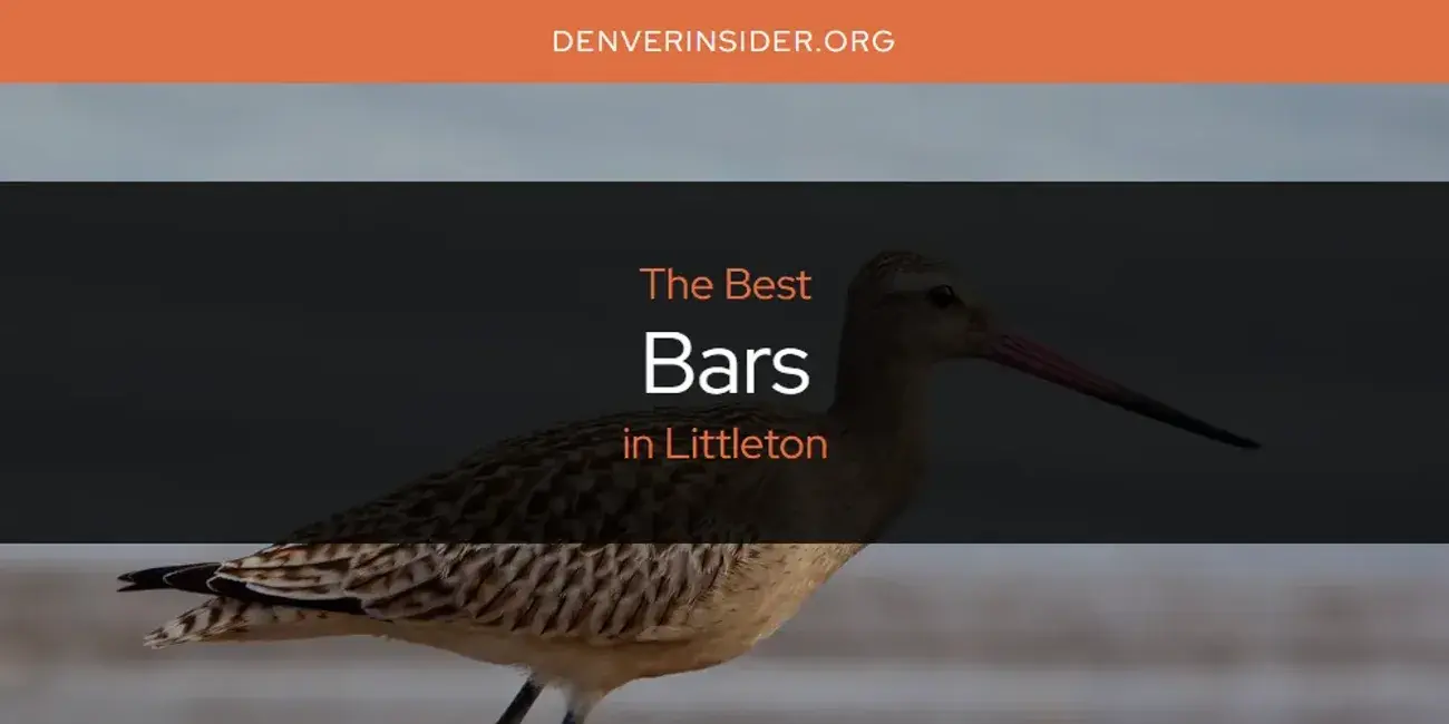 The Absolute Best Bars in Littleton  [Updated 2024]