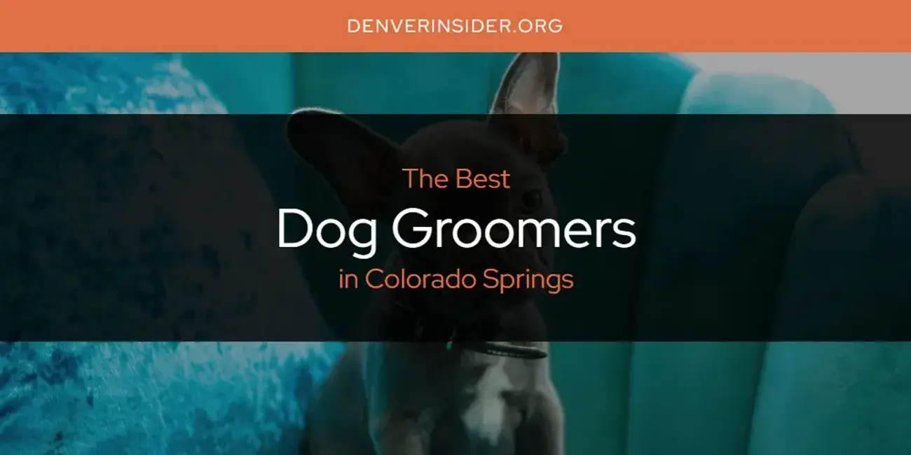 The Absolute Best Dog Groomers in Colorado Springs  [Updated 2024]