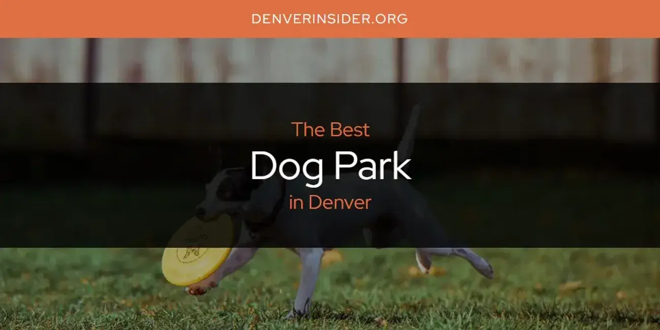 The Absolute Best Dog Park in Denver  [Updated 2024]
