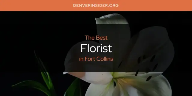 The Absolute Best Florist in Fort Collins  [Updated 2024]