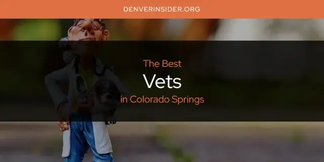 Colorado Springs' Best Vets [Updated 2024]