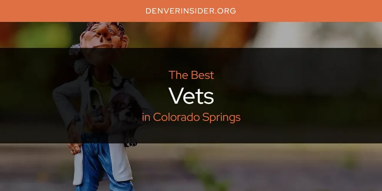 The Absolute Best Vets in Colorado Springs  [Updated 2025]